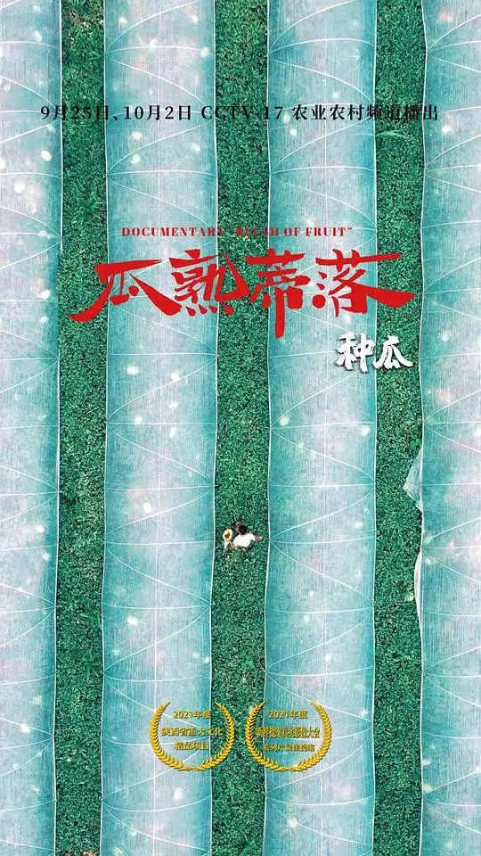 《瓜熟蒂落》：青春的悸动与成长，那些关于爱的故事