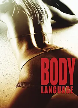 《美女与骑士》：浪漫冒险中的真爱与英雄主义较量