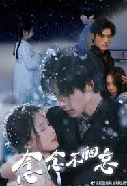 《念念不相忘》：跨越时空的爱恋，青春悸动与人生抉择的温柔絮语